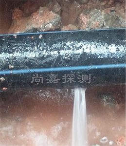 城关消防管道漏点探测