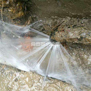 城关自来水管道漏点检测
